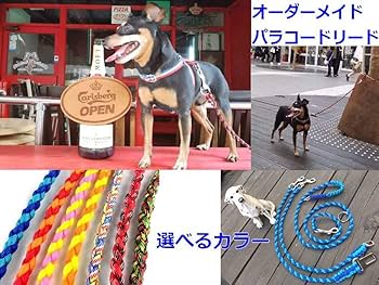 パラコードダブルリード　多頭用リード　パステルレインボー　No.0175 パラコードダブルリード 多頭用リード パステルレインボー No